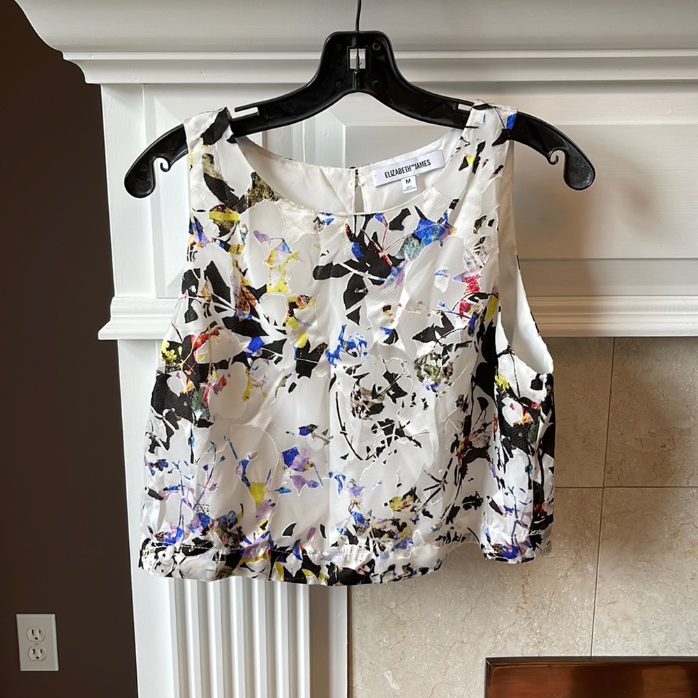 Elizabeth And James Cropped Top
